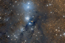 Dust in Chamaeleon
